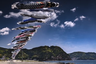 Cloth carp soaring against the blue sky over a hilly landscape, Kii Peninsula, Japan