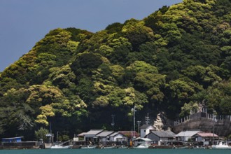 A fishing village nestled between coast and wooded hills, Kii Peninsula, Japan