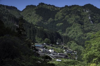 Small village nestled in the green mountain landscape of the valley, Iya, Japan