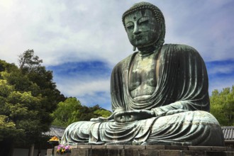 The majestic Big Buddha at Kotokuin Temple surrounded by nature in Kamakura, Kamakura, Kanagawa,