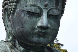 Close-up of the Big Buddha in Kotokuin Temple, Kamakura, Kamakura, Kanagawa, Japan