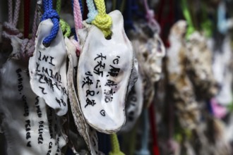 Inscribed oyster shells at Hase-dera Temple in Kamakura, Kamakura, Japan