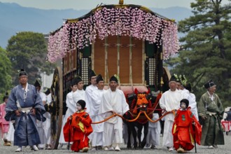 Procession with traditional oxcart at Aoi Matsuri, Kyoto, Japan
