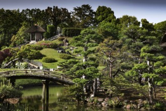Tranquil scene in a Japanese garden with a curved bridge, Okayama, Japan