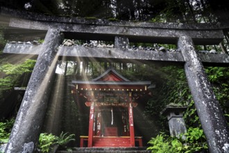 Torii and shrine in Nikko surrounded by nature with rays of light that illuminate the scene, Nikko,