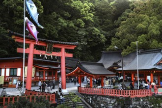 Traditional shrine with red torii surrounded by thick vegetation, Nachi, Wakayama, Japan