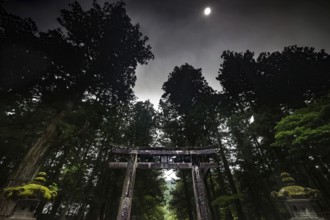 Torii at Toshogu shrine at night in mystical forest landscape, Nikko, Japan