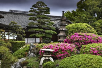 Traditional Japanese garden with pagoda, tea house and bright flowering shrubs, Okayama, Okayama,