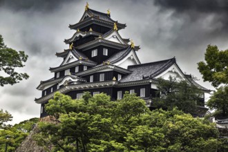 Impressive Okayama castle with traditional roofs under a dramatic sky, Okayama, Okayama, Japan