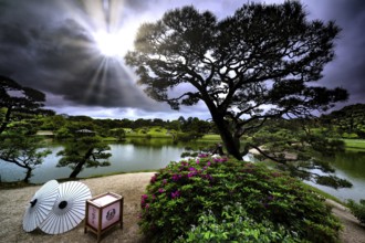 Painting view of Korakuen of Okayama Castle with bright sun and Japanese umbrellas, Okayama,