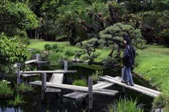 Woman in a Japanese garden walking across a zigzag bridge surrounded by lush greenery, Okayama,