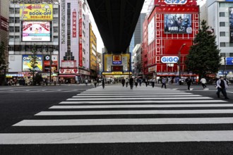 Bustling shopping street with big neon signs in Akihabara, Tokyo, Akihabara, Japan