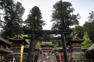 Entrance to Toshogu Shrine surrounded by trees and architecture, Nikko, Japan