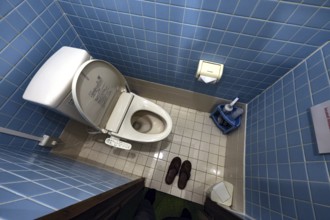 Compact bathroom with toilet at Daymaruya Ryokan, Yamanouchi, Yamanouchi, Japan