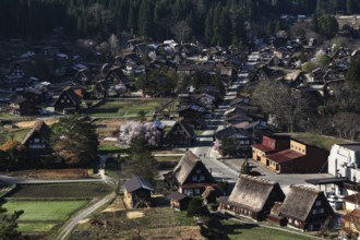 Shirakawa-go village with traditional gassho-zukuri houses in the Shokawa Valley, Shirakawa, Gifu,
