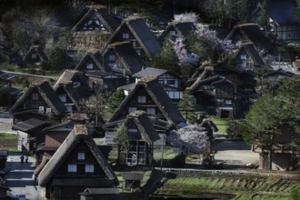Traditional Gassho Houses in Shirakawa-go Historic Village, Shirakawa, Gifu, Japan