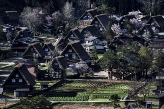 Panorama of Shirakawa-go village with traditional Gassho roof houses in the green valley,
