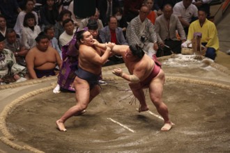 High-intensity sumo match with impressive physical effort, Tokyo, Japan