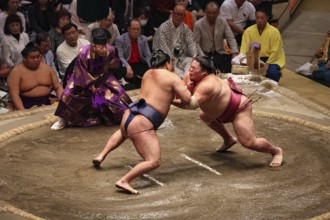 Powerful sumo duel in full intensity, Tokyo, Japan