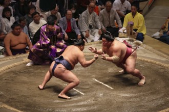 Sumo wrestlers in action, the audience is completely enthralled, Tokyo, Japan