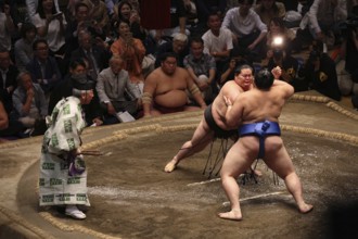 Technically demanding sumo fight in a lively atmosphere, Tokyo, Japan