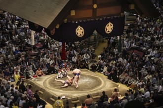 High-profile sumo fight in Tokyo, spectators are excited, Tokyo, Japan