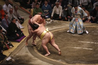 Wrestlers in intensive competition in Kokugikan, Tokyo, Ryogoku, Japan