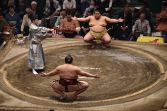 Sumo ritual in front of the competition in Kokugikan, Tokyo, Ryogoku, Japan