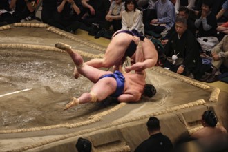 Sumo wrestler falls during a fight in Kokugikan, Tokyo, Ryogoku, Japan