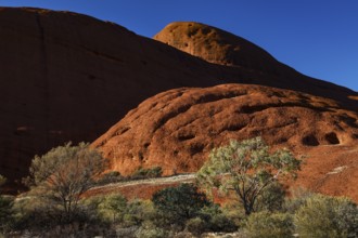 Red rocks in the Valley of the Winds surrounded by scrubland near Kata Tjuta, Kata Tjuta, Northern
