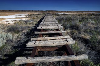 Dilapidated railway bridge of Old Ghan in open countryside, South Australia, Australia