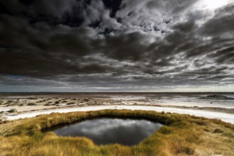 Artesian Source Blanche Cup under dramatic sky on the Oodnadatta Track, Mound Springs, South