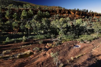 Vastness of valley with scattered trees and rocks under clear skies, Palm Valley, Northern