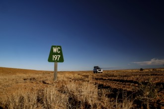 A green toilet sign on a deserted road in a dry landscape, Oodnadatta Track, Southwest Australia,