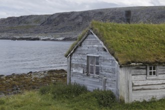 Wooden house with a grass roof in the nature of Hamningberg