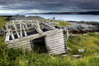 Ruined wooden house ruin on a coastal meadow in Hamningberg, N Hamningberg, null