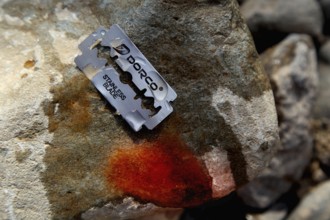 Razor blade and stone used as a traditional circumcision tool in Ahmedela, Ahmedela, Ethiopia