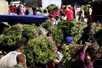 Large khat bundles on a busy retail market, Awaday, Ethiopia