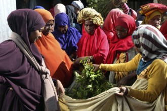 ETH Awaday, Khat, Market