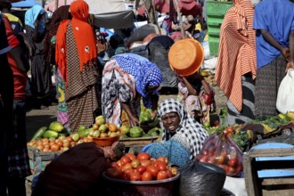 People buy fresh fruit at a market in Dire Dawa, Dire Dawa, Ethiopia