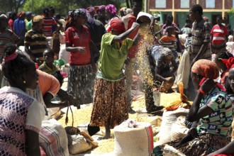 Active market in Konso with people in traditional clothes exchanging goods, Konso, region, Ethiopia