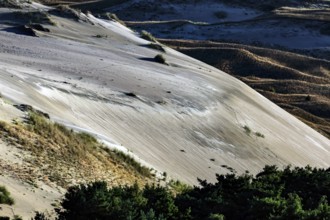Sand dune formations stretch majestically against lush vegetation in Nagils Reserve, Nagliai,