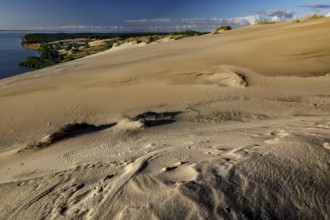 Wide sand dunes overlooking the sea, pristine and natural, Nagliai, Lithuania
