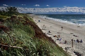 Sunny beach with dunes and relaxing bathers under wide skies, Nida, Curonian Spit, Lithuania