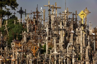 Dense collection of crosses of all sizes on a hill, Siauliai, Lithuania