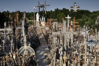 Overview of countless crosses on a hill with trees in the background, Siauliai, Lithuania