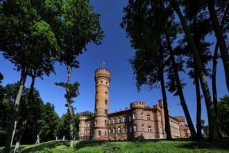 The majestic Raudonn Castle surrounded by tall trees under a bright blue sky, Raudonn, Lithuania