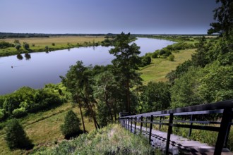View from Rambynas over the Memel river landscape with lush greenery, Rambynas Regional Park,