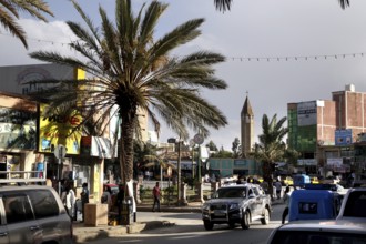 Scene scene of a lively street with palm trees and vehicles, Mekele, Ethiopia