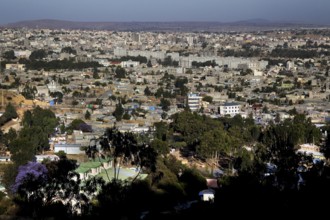 Panoramic view of a dense urban landscape, Mekele, Ethiopia